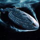 Illustration for article titled Why iStar Trek: Voyager /iMeant The World To Me